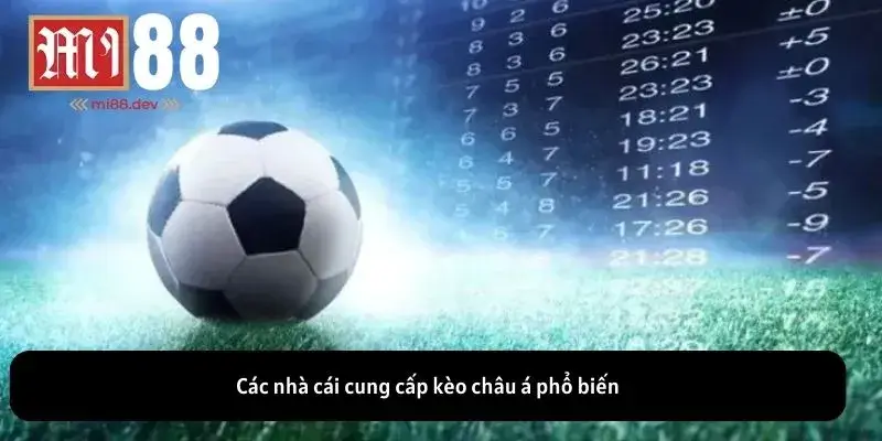 Các nhà cái cung cấp kèo châu á phổ biến