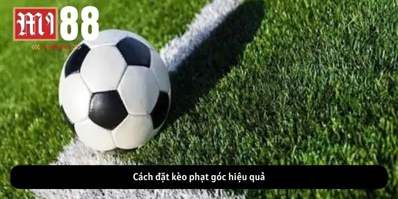 Cách đặt kèo phạt góc hiệu quả