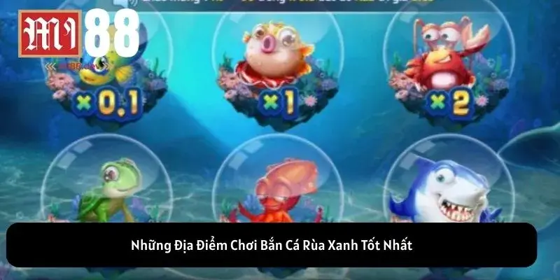 Những Địa Điểm Chơi Bắn Cá Rùa Xanh Tốt Nhất