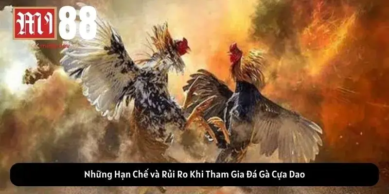 Những Hạn Chế và Rủi Ro Khi Tham Gia Đá Gà Cựa Dao
