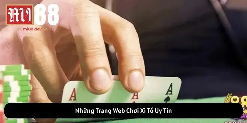 Những Trang Web Chơi Xì Tố Uy Tín