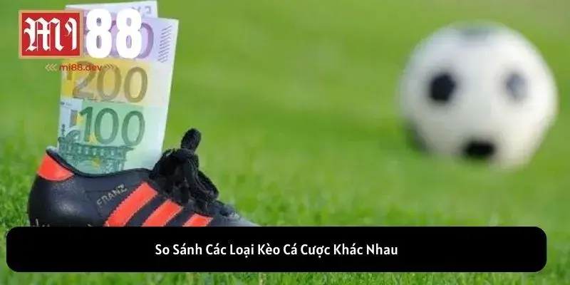 So Sánh Các Loại Kèo Cá Cược Khác Nhau