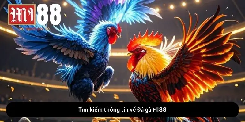 Tìm kiếm thông tin về Đá gà MI88
