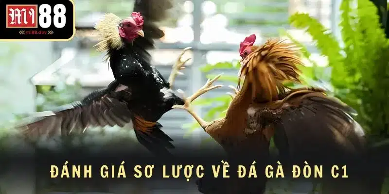 Đánh giá sơ lược về đá gà đòn C1