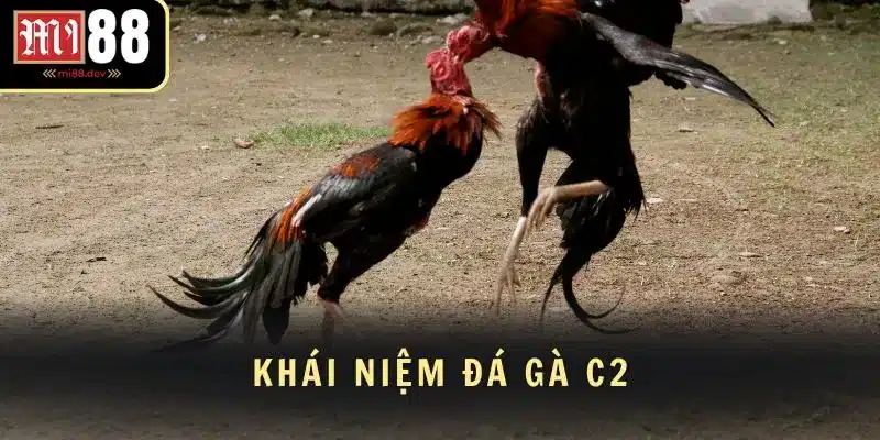 Khái niệm đá gà C2