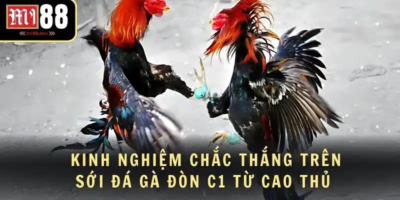 Kinh nghiệm chắc thắng trên sới đá gà đòn C1 từ cao thủ 