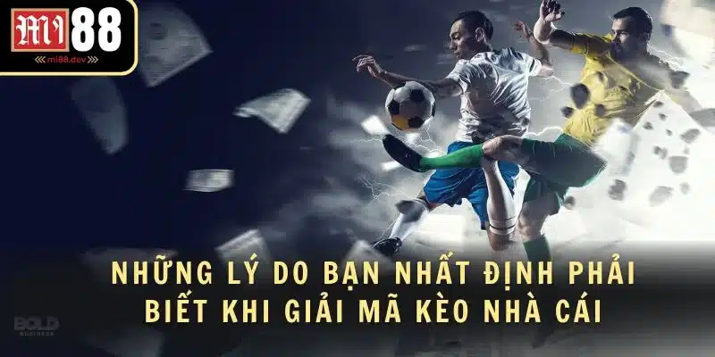 Những lý do bạn nhất định phải biết khi giải mã kèo nhà cái