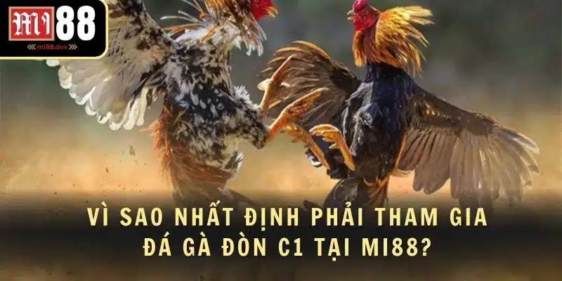 Vì sao nhất định phải tham gia đá gà đòn C1 tại MI88?