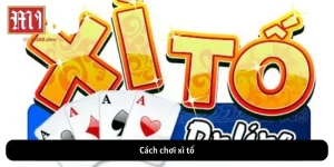 Cách Chơi Xì Tố: Hướng Dẫn Chi Tiết và Chiến Thuật Thắng