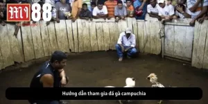 Đá Gà Campuchia: Luật Chơi, Kinh Nghiệm và Mẹo Thắng