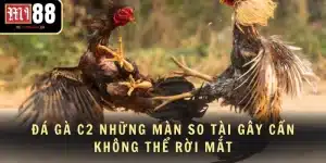 Đá Gà C2 Những Màn So Tài Gây Cấn Không Thể Rời Mắt