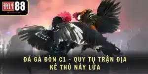 Đá gà đòn C1 - Quy tụ trận địa kê thủ nảy lửa